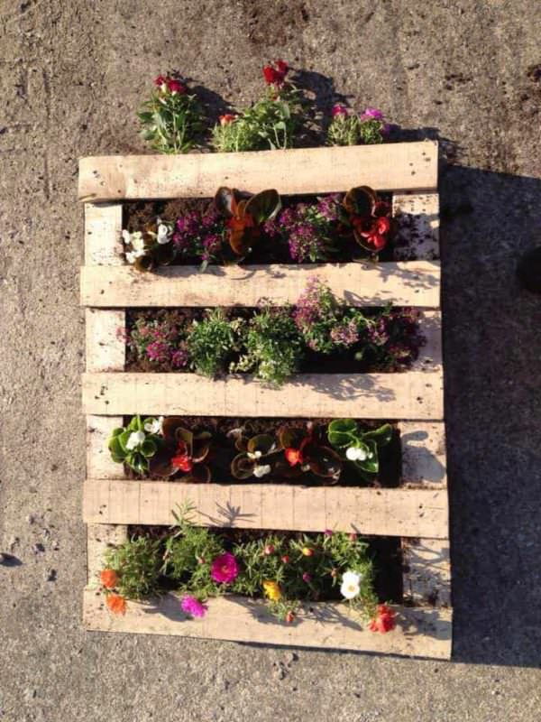 3 Steps to Prepare Your Vertical Pallet Planter Pallet Planters & Compost Bins 3 Steps to Prepare Your Vertical Pallet Planter Pallet Planters & Compost Bins