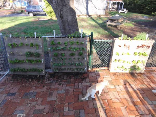 Pallet Vertical Planters Pallet Planters & Compost Bins Pallet Vertical Planters Pallet Planters & Compost Bins