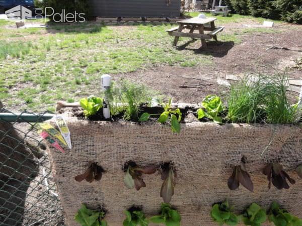 Pallet Vertical Planters Pallet Planters & Compost Bins Pallet Vertical Planters Pallet Planters & Compost Bins