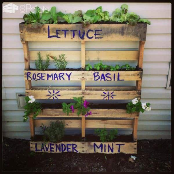 How to Keep Dirt Inside Pallet Planters? Pallet Planters & Compost Bins How to Keep Dirt Inside Pallet Planters? Pallet Planters & Compost Bins