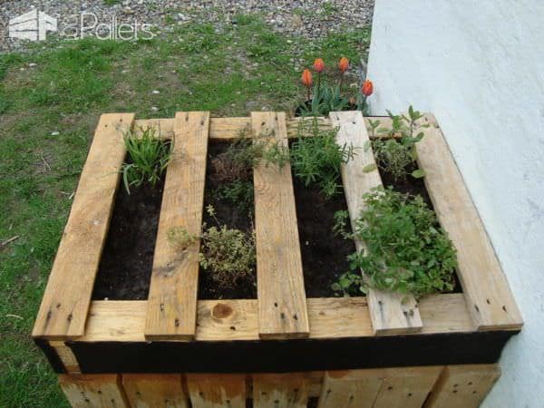 Duckfree Herbs Pallets Planter Pallet Planters & Compost Bins Duckfree Herbs Pallets Planter Pallet Planters & Compost Bins