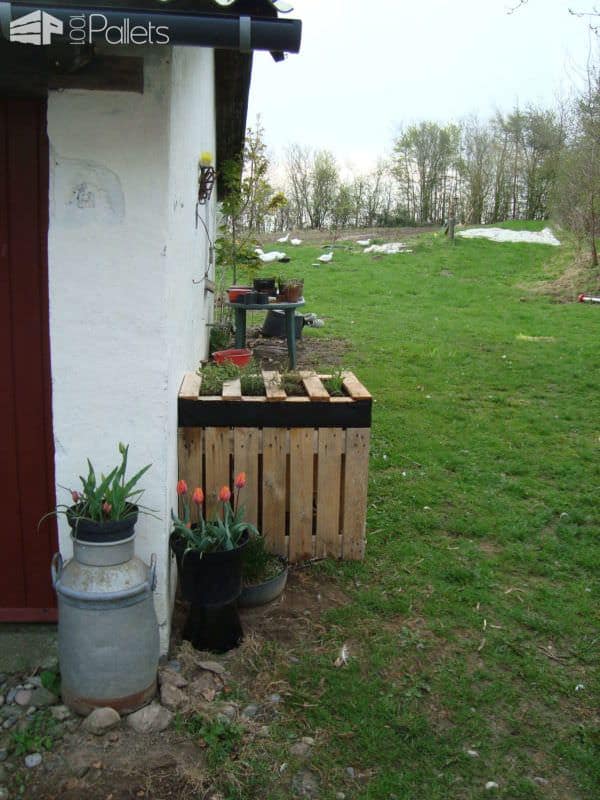 Duckfree Herbs Pallets Planter Pallet Planters & Compost Bins Duckfree Herbs Pallets Planter Pallet Planters & Compost Bins