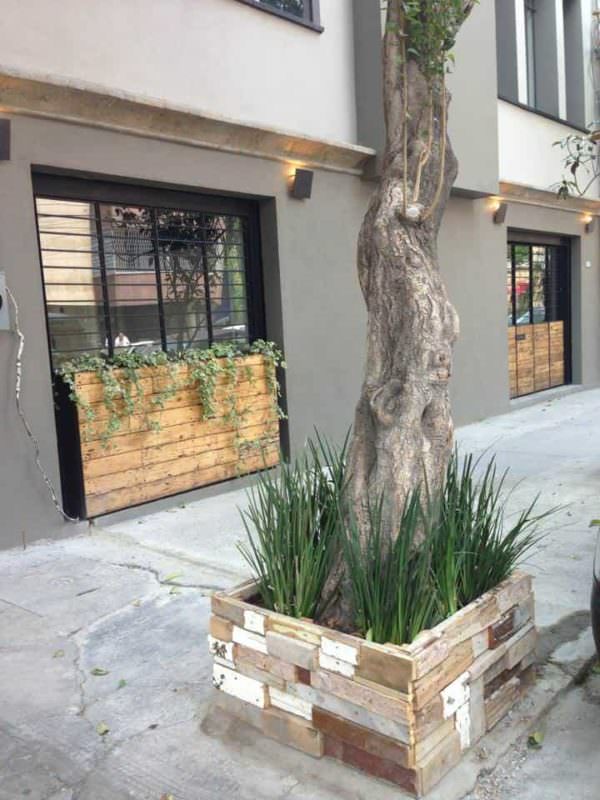 Pallet Used As Planters In Mexico Pallet Planters & Compost Bins Pallet Used As Planters In Mexico Pallet Planters & Compost Bins