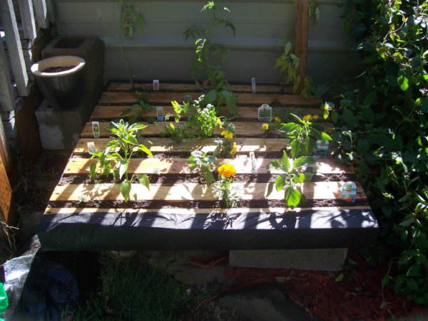 Little Pallet Garden Pallet Planters & Compost Bins Little Pallet Garden Pallet Planters & Compost Bins