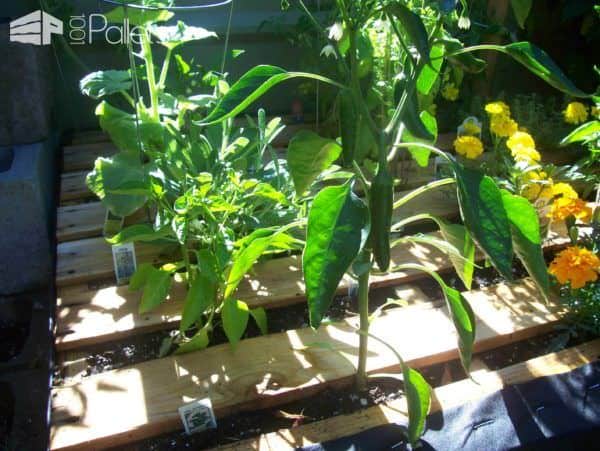 Little Pallet Garden Pallet Planters & Compost Bins Little Pallet Garden Pallet Planters & Compost Bins