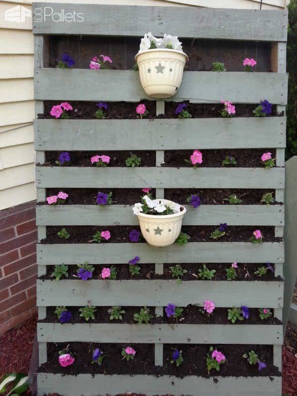 Standing Vertical Garden Pallet Planters & Compost Bins Standing Vertical Garden Pallet Planters & Compost Bins
