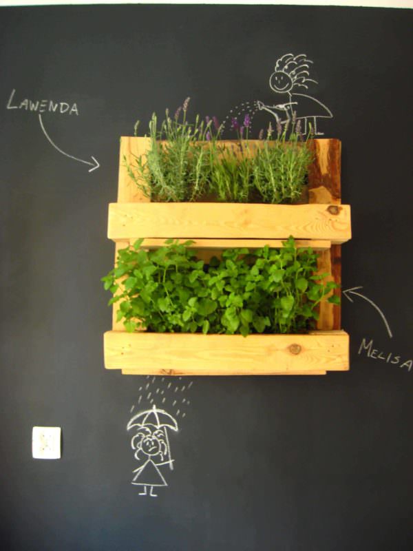 Pallet Herb Rack Pallet Shelves & Pallet Coat Hangers Pallet Herb Rack Pallet Shelves & Pallet Coat Hangers