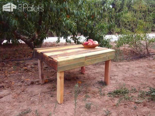 Pallet Installations @ Festival Fruta Dulce De Fraga Pallet Furniture Pallet Store, Bar & Restaurant Decorations Pallet Installations @ Festival Fruta Dulce De Fraga Pallet Furniture Pallet Store, Bar & Restaurant Decorations