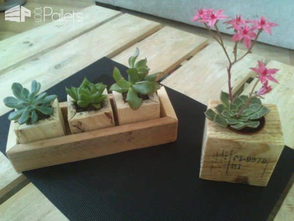 Small Succulents Planters / Petite Décorations De Table Pallet Home Accessories Small Succulents Planters / Petite Décorations De Table Pallet Home Accessories