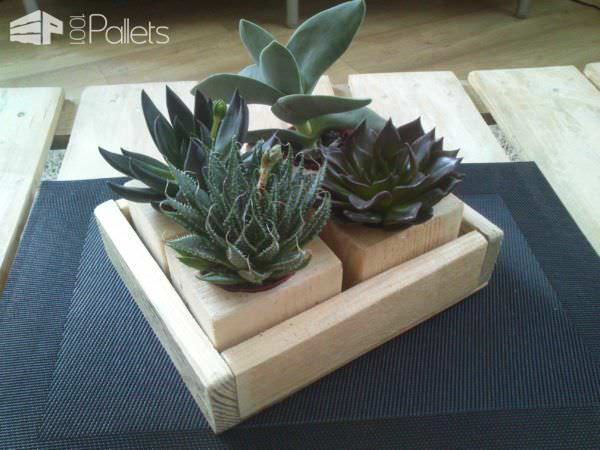 Small Succulents Planters / Petite Décorations De Table Pallet Home Accessories Small Succulents Planters / Petite Décorations De Table Pallet Home Accessories
