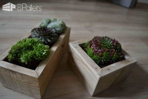 Small Succulents Planters / Petite Décorations De Table Pallet Home Accessories Small Succulents Planters / Petite Décorations De Table Pallet Home Accessories