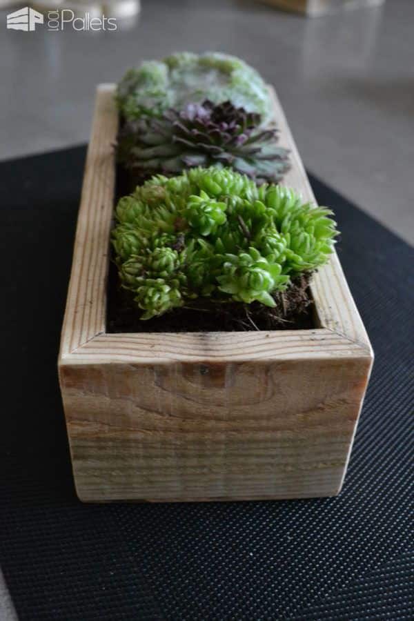 Small Succulents Planters / Petite Décorations De Table Pallet Home Accessories Small Succulents Planters / Petite Décorations De Table Pallet Home Accessories