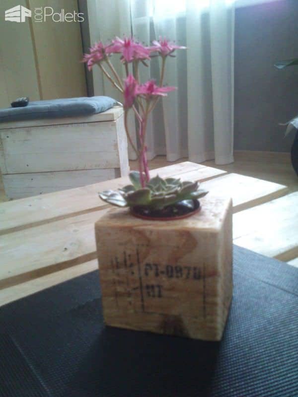 Small Succulents Planters / Petite Décorations De Table Pallet Home Accessories Small Succulents Planters / Petite Décorations De Table Pallet Home Accessories