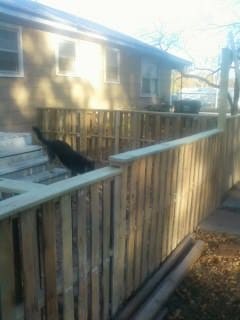 Pallet Fence Pallet Fences Pallet Fence Pallet Fences