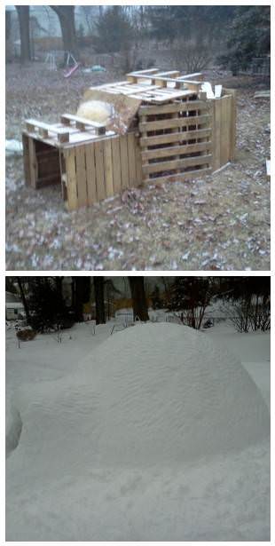 Before/After: Pallet Igloo DIY Pallet Video Tutorials Lounges & Garden Sets Before/After: Pallet Igloo DIY Pallet Video Tutorials Lounges & Garden Sets