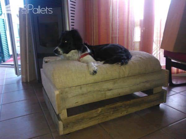 Cuccia Vintage in Pallets / Dog Bed With Pallets Animal Pallet Houses & Pallet Supplies Cuccia Vintage in Pallets / Dog Bed With Pallets Animal Pallet Houses & Pallet Supplies