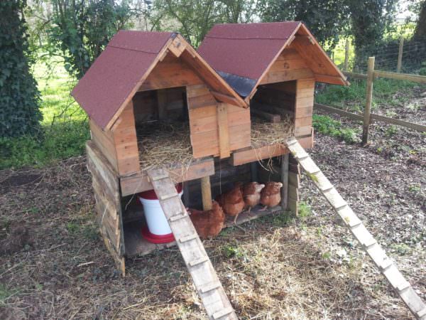 Double Pallet Chicken Coop Animal Pallet Houses & Pallet Supplies Double Pallet Chicken Coop Animal Pallet Houses & Pallet Supplies