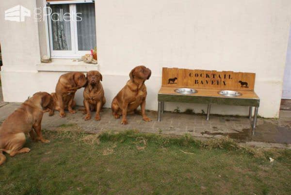 Pallet Dog Feeder Animal Pallet Houses & Pallet Supplies Pallet Dog Feeder Animal Pallet Houses & Pallet Supplies