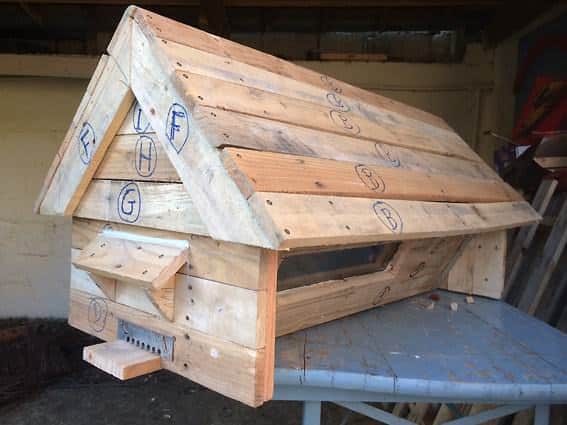 Hive With Repurposed Pallets / Ruche En Palettes Animal Pallet Houses & Pallet Supplies Hive With Repurposed Pallets / Ruche En Palettes Animal Pallet Houses & Pallet Supplies
