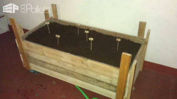 Planter Made Out Of Reclaimed Pallet Pallet Planters & Compost Bins Planter Made Out Of Reclaimed Pallet Pallet Planters & Compost Bins