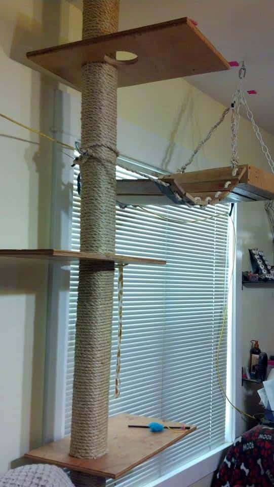 Diy: Pallet Cat Tree Provides Kitties Some Fun! Animal Pallet Houses & Pallet Supplies Diy: Pallet Cat Tree Provides Kitties Some Fun! Animal Pallet Houses & Pallet Supplies