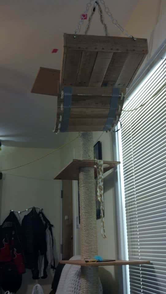 Diy: Pallet Cat Tree Provides Kitties Some Fun! Animal Pallet Houses & Pallet Supplies Diy: Pallet Cat Tree Provides Kitties Some Fun! Animal Pallet Houses & Pallet Supplies
