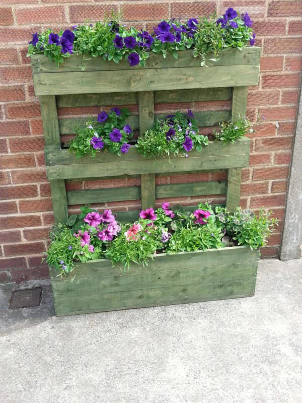 Upright Pallet Planter Stained Green Pallet Planters & Compost Bins Upright Pallet Planter Stained Green Pallet Planters & Compost Bins