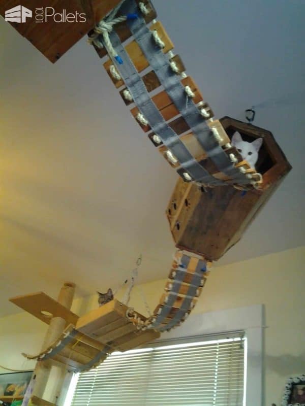 Diy: Pallet Cat Tree Provides Kitties Some Fun! Animal Pallet Houses & Pallet Supplies Diy: Pallet Cat Tree Provides Kitties Some Fun! Animal Pallet Houses & Pallet Supplies