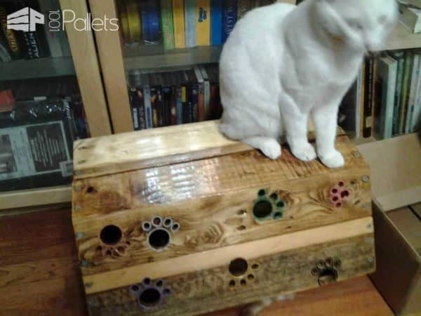 Diy: Pallet Cat Tree Provides Kitties Some Fun! Animal Pallet Houses & Pallet Supplies Diy: Pallet Cat Tree Provides Kitties Some Fun! Animal Pallet Houses & Pallet Supplies