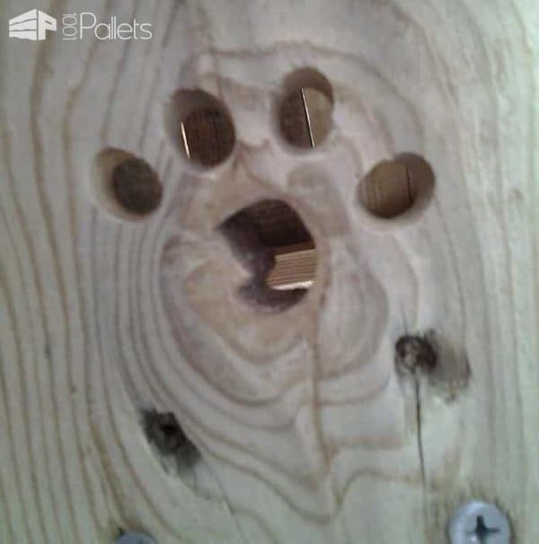 Diy: Pallet Cat Tree Provides Kitties Some Fun! Animal Pallet Houses & Pallet Supplies Diy: Pallet Cat Tree Provides Kitties Some Fun! Animal Pallet Houses & Pallet Supplies