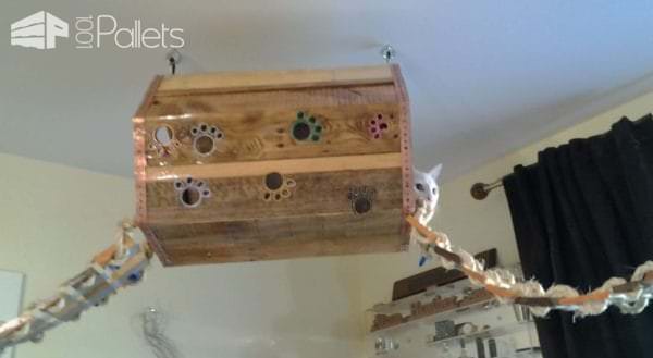 Diy: Pallet Cat Tree Provides Kitties Some Fun! Animal Pallet Houses & Pallet Supplies Diy: Pallet Cat Tree Provides Kitties Some Fun! Animal Pallet Houses & Pallet Supplies