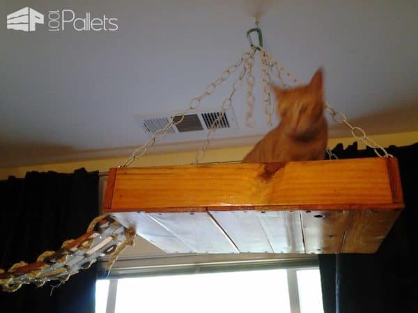 Diy: Pallet Cat Tree Provides Kitties Some Fun! Animal Pallet Houses & Pallet Supplies Diy: Pallet Cat Tree Provides Kitties Some Fun! Animal Pallet Houses & Pallet Supplies