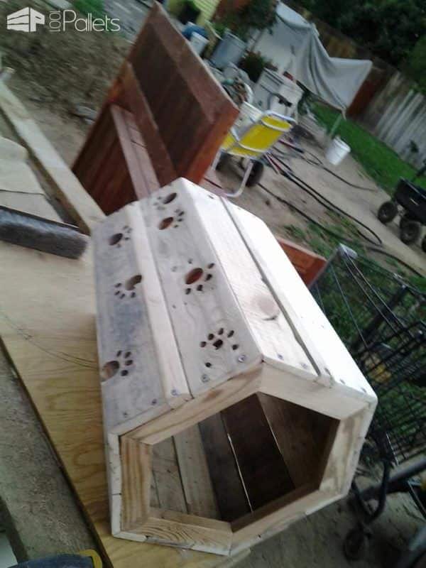 Cat Tree Tunnel Addition Animal Pallet Houses & Pallet Supplies Cat Tree Tunnel Addition Animal Pallet Houses & Pallet Supplies