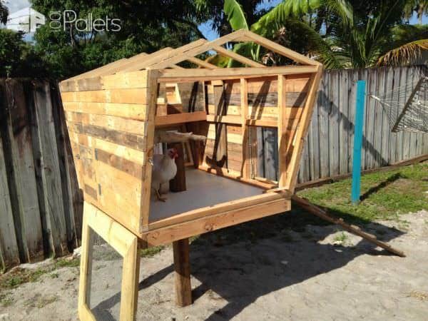 Pallet Version of the Chicken Coop Called the Coopsicle Animal Pallet Houses & Pallet Supplies Pallet Version of the Chicken Coop Called the Coopsicle Animal Pallet Houses & Pallet Supplies