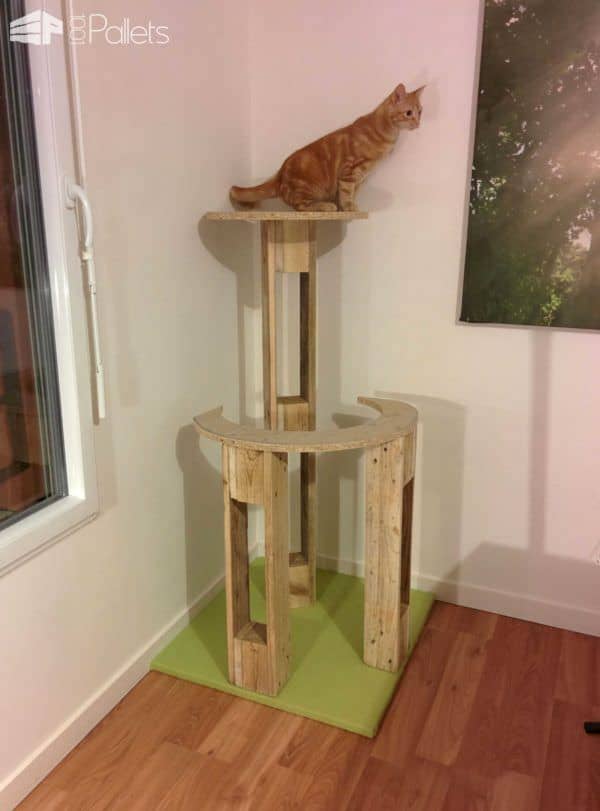 Pallet Cat Scratching Tree / Arbre à Chat Animal Pallet Houses & Pallet Supplies Pallet Cat Scratching Tree / Arbre à Chat Animal Pallet Houses & Pallet Supplies