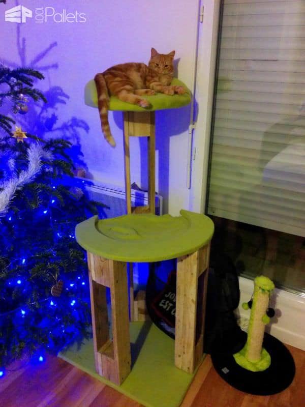 Pallet Cat Scratching Tree / Arbre à Chat Animal Pallet Houses & Pallet Supplies Pallet Cat Scratching Tree / Arbre à Chat Animal Pallet Houses & Pallet Supplies