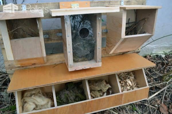 Pallet Used For Assembling Objects For Birds, Insects, Bats & Butterflies Animal Pallet Houses & Pallet Supplies Pallet Used For Assembling Objects For Birds, Insects, Bats & Butterflies Animal Pallet Houses & Pallet Supplies