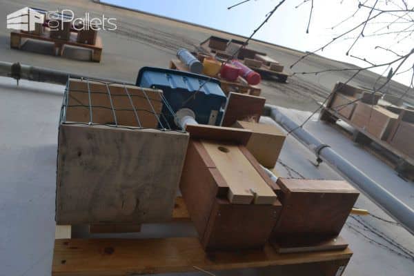 Pallet Used For Assembling Objects For Birds, Insects, Bats & Butterflies Animal Pallet Houses & Pallet Supplies Pallet Used For Assembling Objects For Birds, Insects, Bats & Butterflies Animal Pallet Houses & Pallet Supplies
