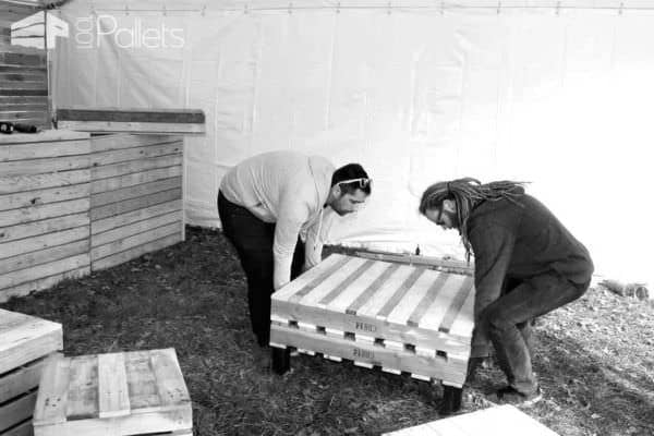 Building and Assembly of a Modular Pallet Bar Lounges & Garden Sets Pallet Bars Building and Assembly of a Modular Pallet Bar Lounges & Garden Sets Pallet Bars