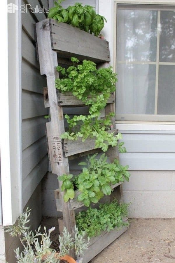 10 Creative Ways to Use Recycled Pallets to Decorate Your Home Pallet Home Accessories Pallet Home Décor Ideas 10 Creative Ways to Use Recycled Pallets to Decorate Your Home Pallet Home Accessories Pallet Home Décor Ideas