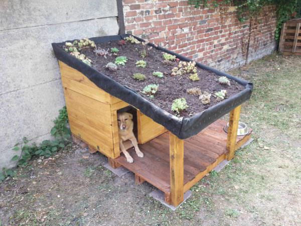 Doghouse With Green Roof / Niche Pour Chien Avec Toiture Végétalisée & Rangement Pallet Sheds, Cabins, Huts & Playhouses Doghouse With Green Roof / Niche Pour Chien Avec Toiture Végétalisée & Rangement Pallet Sheds, Cabins, Huts & Playhouses