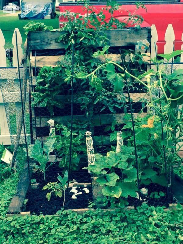How To Make Your First Pallet Garden Pallet Planters & Compost Bins How To Make Your First Pallet Garden Pallet Planters & Compost Bins