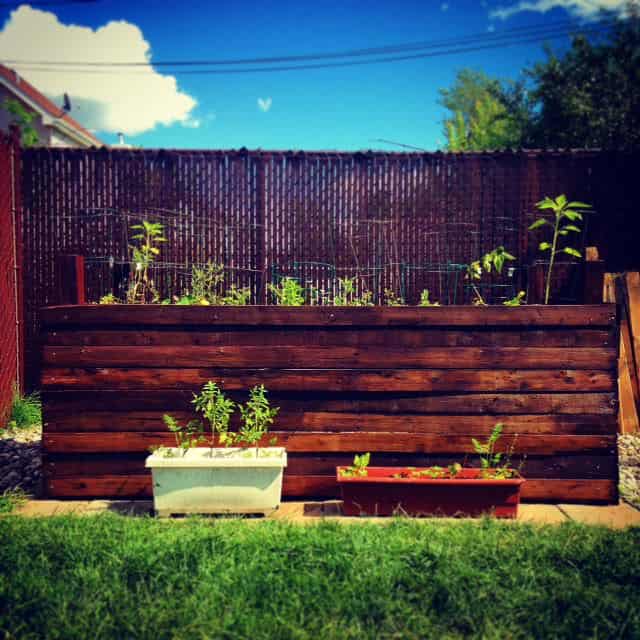 Jardin Surélevé / Pallet Raised Garden Pallet Planters & Compost Bins Jardin Surélevé / Pallet Raised Garden Pallet Planters & Compost Bins