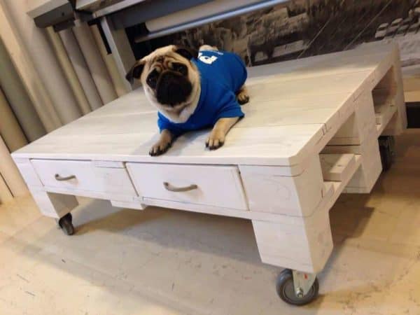 The 62 Most Creative Pallet Coffee Tables For Your Inspiration! Pallet Coffee Tables The 62 Most Creative Pallet Coffee Tables For Your Inspiration! Pallet Coffee Tables
