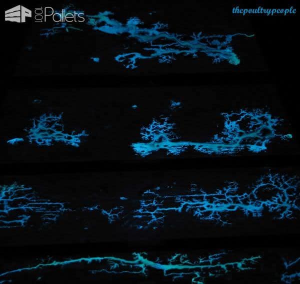 A Pallet Christmas Tree With Glow In The Dark Captured Lightning! Pallet Home Accessories A Pallet Christmas Tree With Glow In The Dark Captured Lightning! Pallet Home Accessories