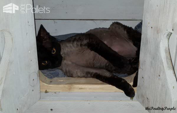 Pallet Indoor Cat House Animal Pallet Houses & Pallet Supplies Pallet Indoor Cat House Animal Pallet Houses & Pallet Supplies