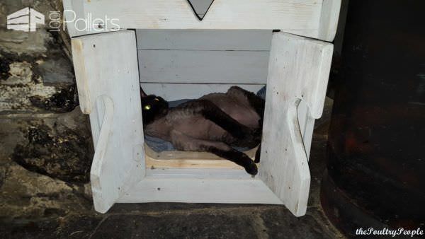 Pallet Indoor Cat House Animal Pallet Houses & Pallet Supplies Pallet Indoor Cat House Animal Pallet Houses & Pallet Supplies