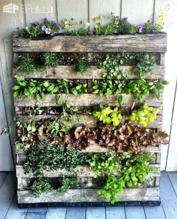 Reusing Old Pallets for Garden Projects Pallet Planters & Compost Bins Reusing Old Pallets for Garden Projects Pallet Planters & Compost Bins