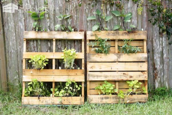 Reusing Old Pallets for Garden Projects Pallet Planters & Compost Bins Reusing Old Pallets for Garden Projects Pallet Planters & Compost Bins