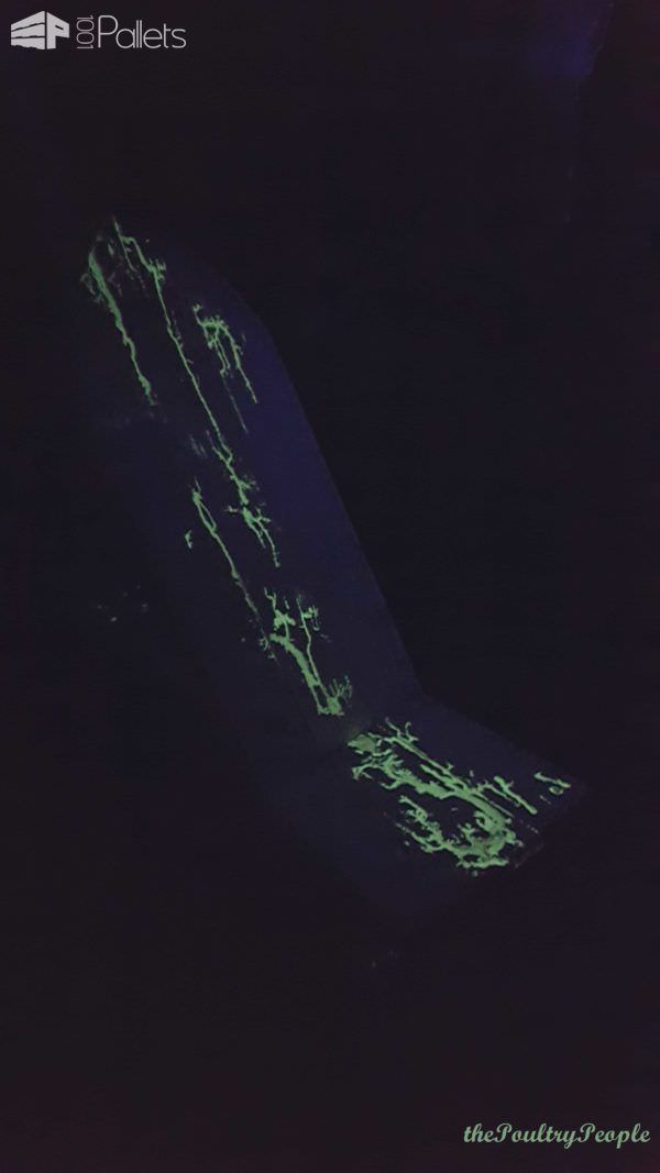 Viking Chair With Lichtenberg Figure Filled With Glow In The Dark Resin! Pallet Benches, Pallet Chairs & Stools Viking Chair With Lichtenberg Figure Filled With Glow In The Dark Resin! Pallet Benches, Pallet Chairs & Stools
